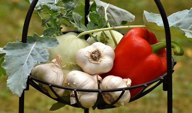 Garlic and other vegetables