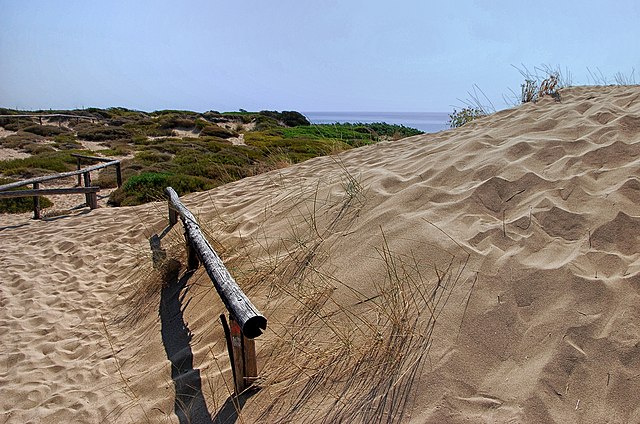 The dunes of Campomarino