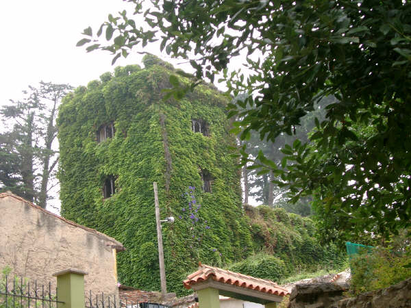 Overgrown Tower Ribadesella