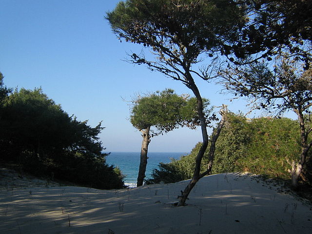 Dunes of Torre dell'Orso