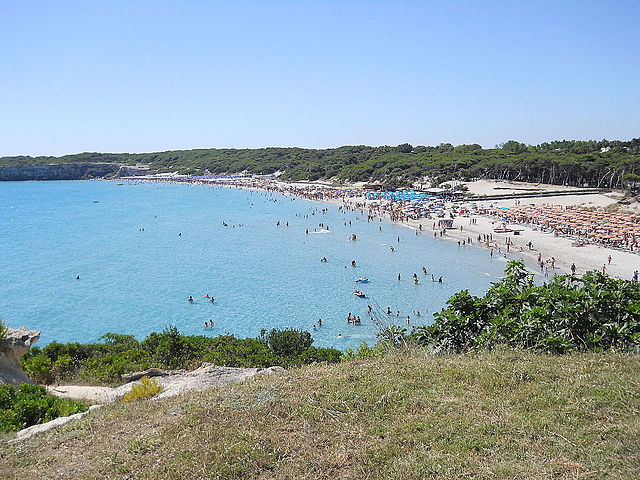 Overview of the Beach