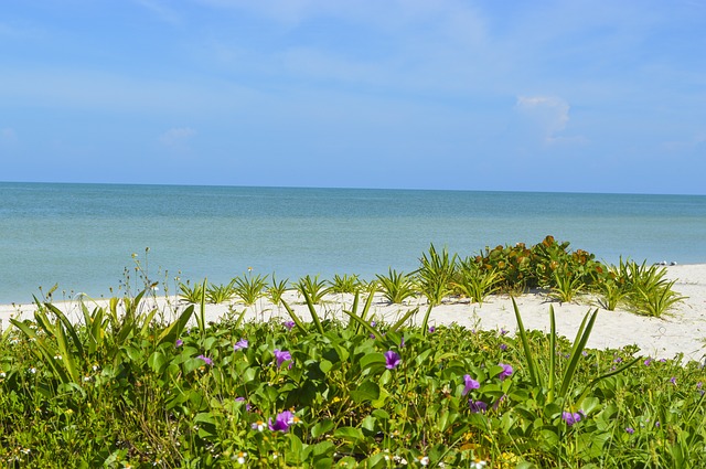 The beach of Celestun in Yucatan