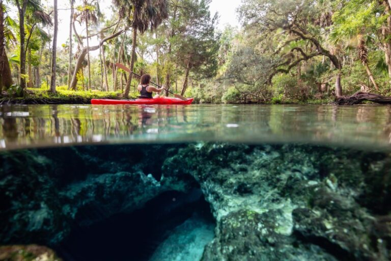 Things to do in Homosassa, FL