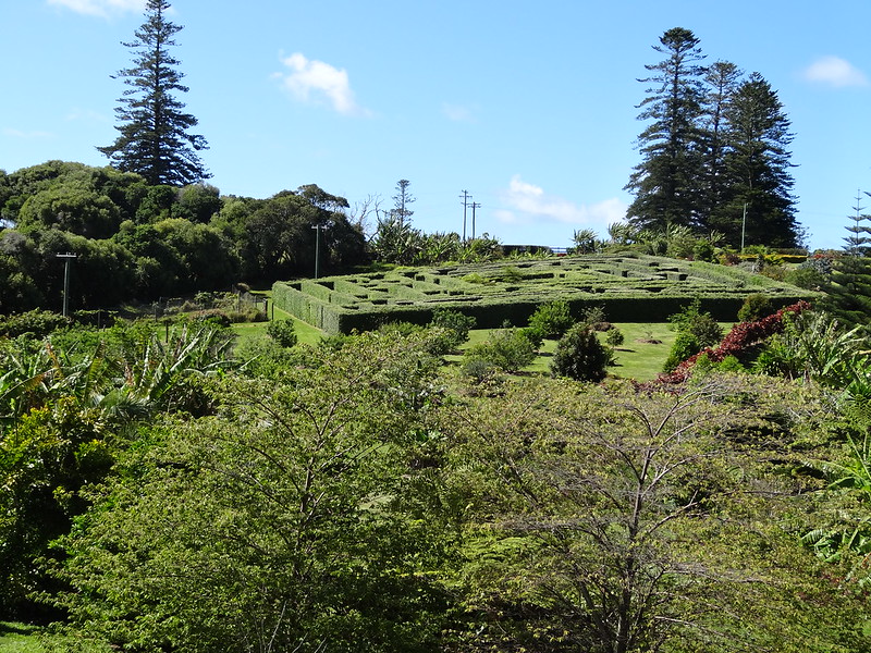 Maze on Norfolk Island