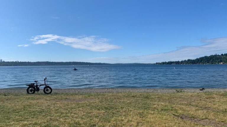 Lake Washington Beached Cover Photo