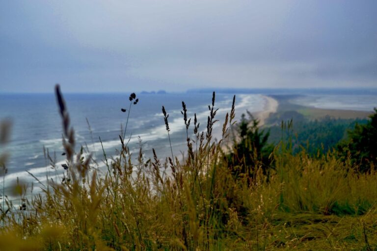 Top 10 Things to do in Tillamook, OR