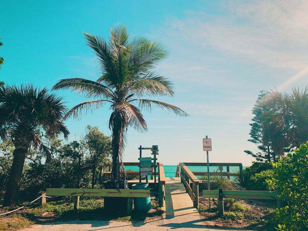 Best Palm Harbor Beaches Cover Photo