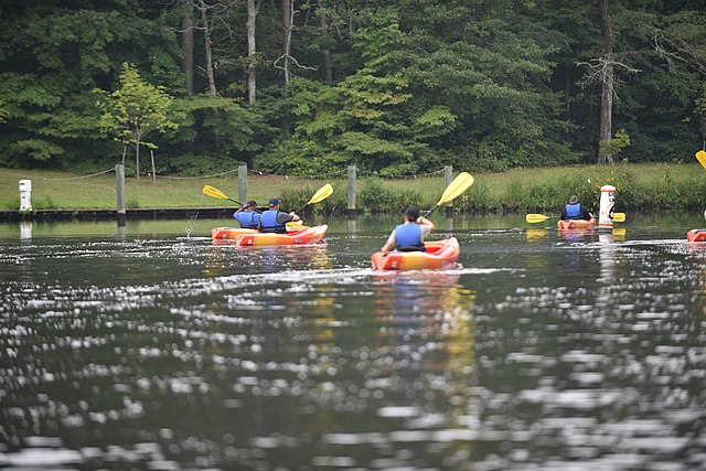 Kayaking on Pocomoke River