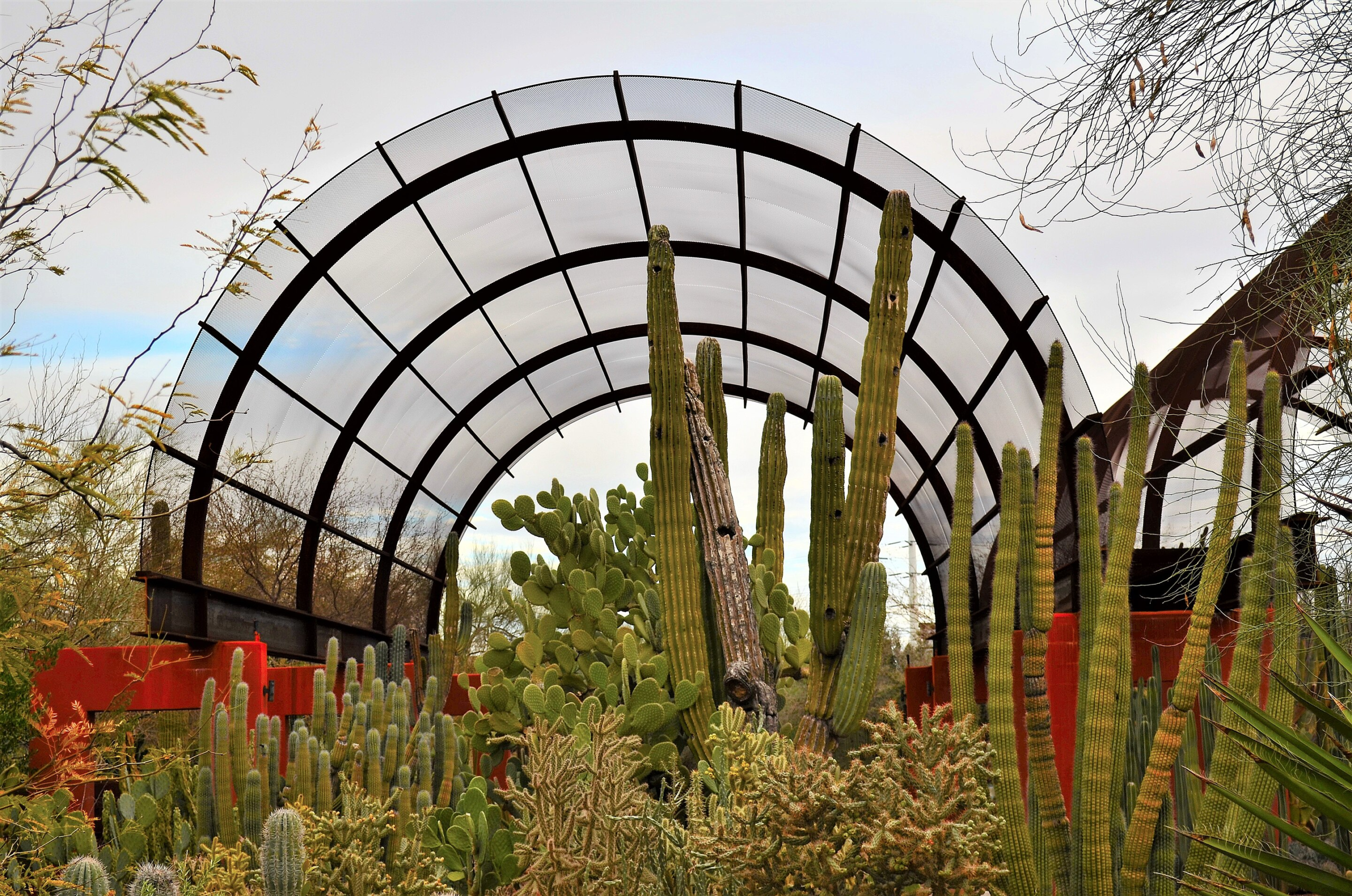 Captivating Desert Botanical Garden with thematic trails