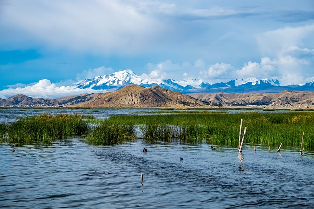 lake titicaca, bolivia, nature