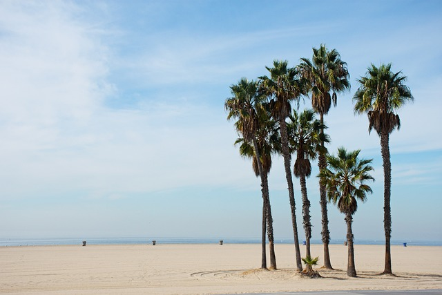 california, santa monica, beach