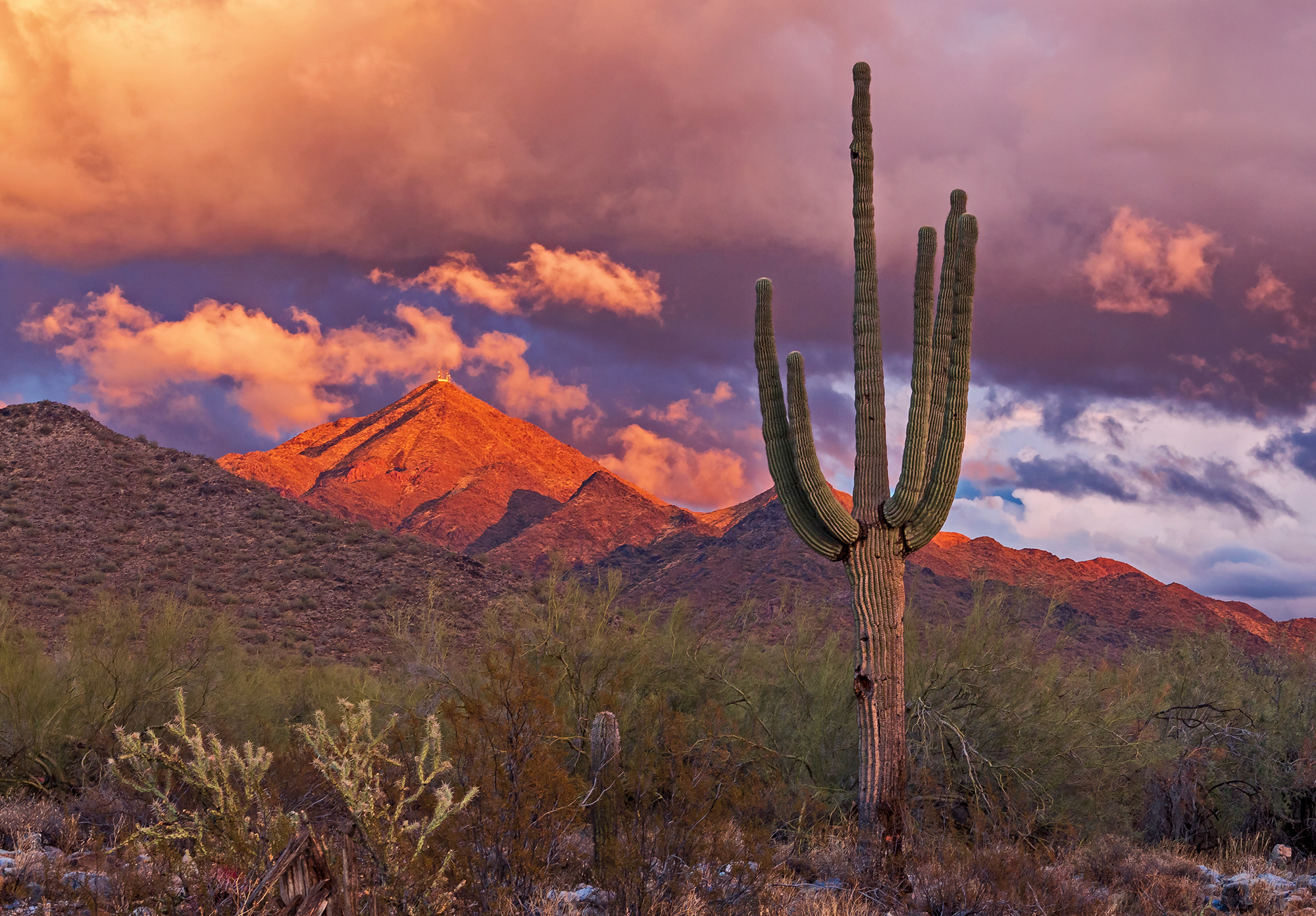 Scenic McDowell Sonoran Preserve with desert landscapes
